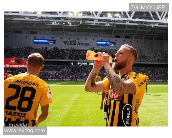 索尔纳对阵卡尔玛赛事分析及双方近期状态评估