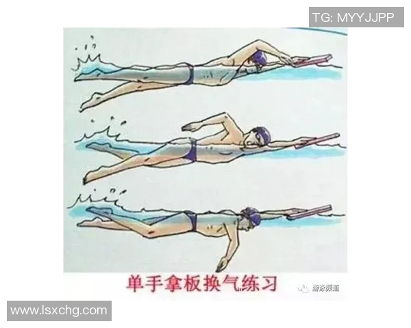 轻松掌握自由泳技巧从入门到提高全程课程解析与训练方法